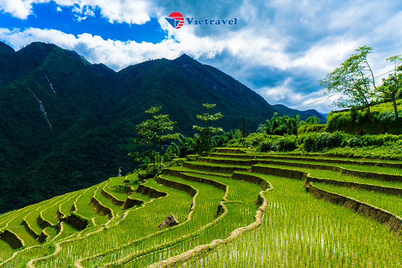 Phong cảnh Sa Pa