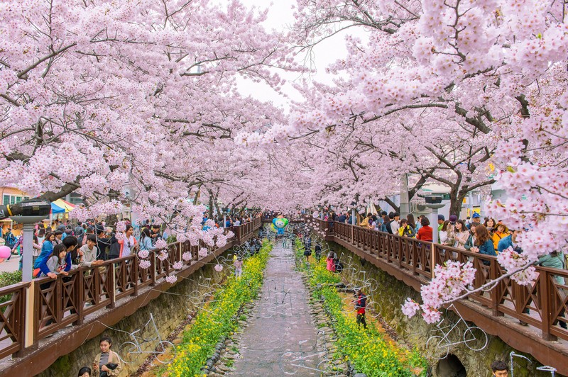 NAGOYA - HÀ NỘI (ĂN sáng)                                                                                                                                                                             
