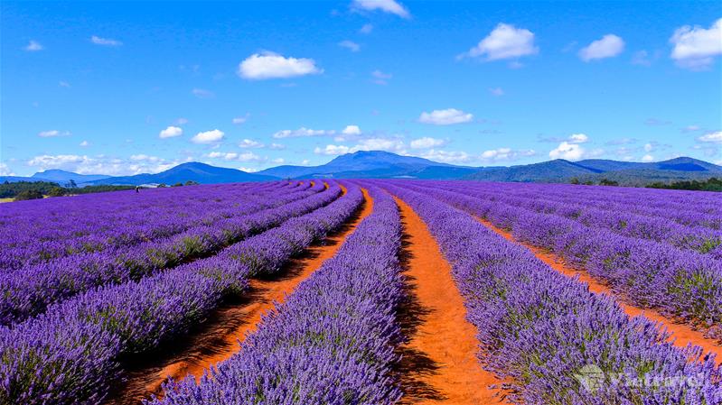 Melbourne – Tasmania – Launceston