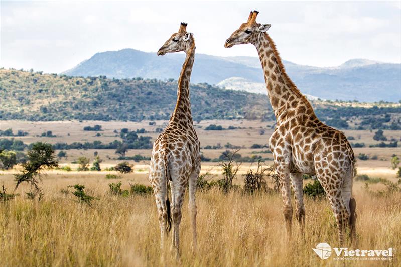 Sun City – Johannesburg
