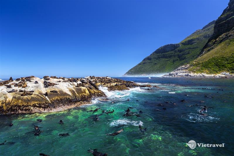 Cape Town