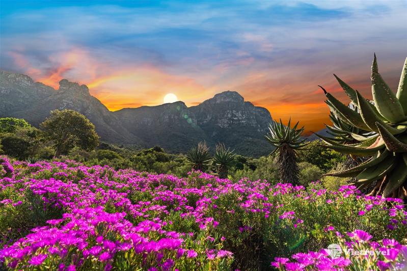 CAPE TOWN – TP. HÀ NỘI