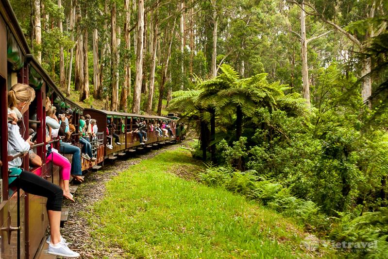 Melbourne – Dandenong – Thung Lũng Yarra