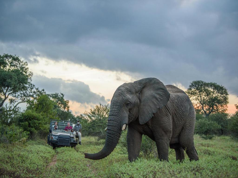 Cape Town  - Hoedspruit  