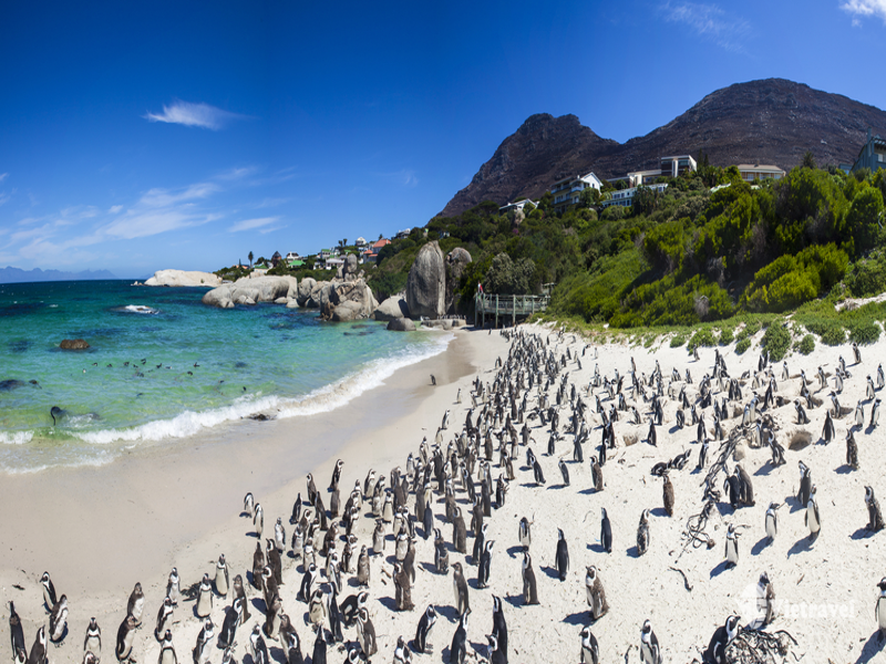 Cape Town  