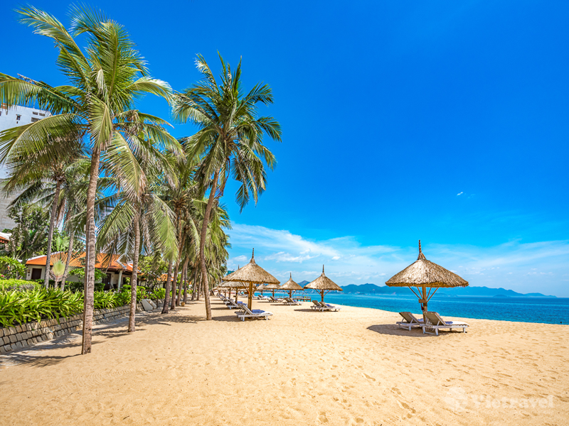 Nha Trang – Hà Nội   