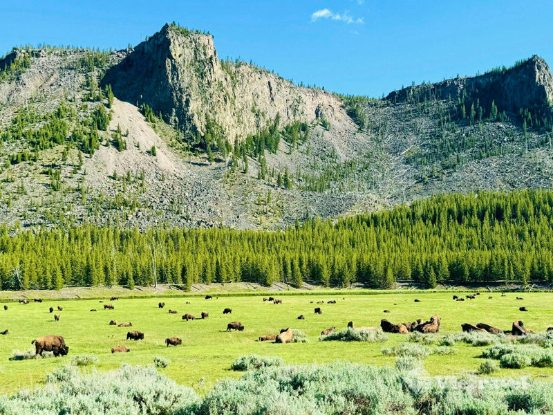 WEST YELLOWSTONE – SALT LAKE CITY