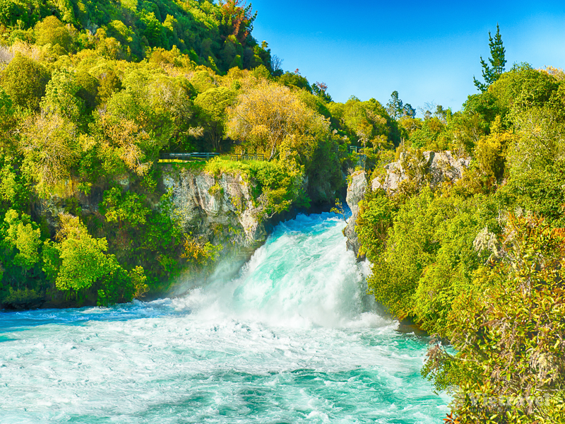 Auckland - Waitomo - Taupo