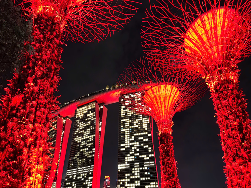Ngày 2 : Singapore - Gardens by the Bay