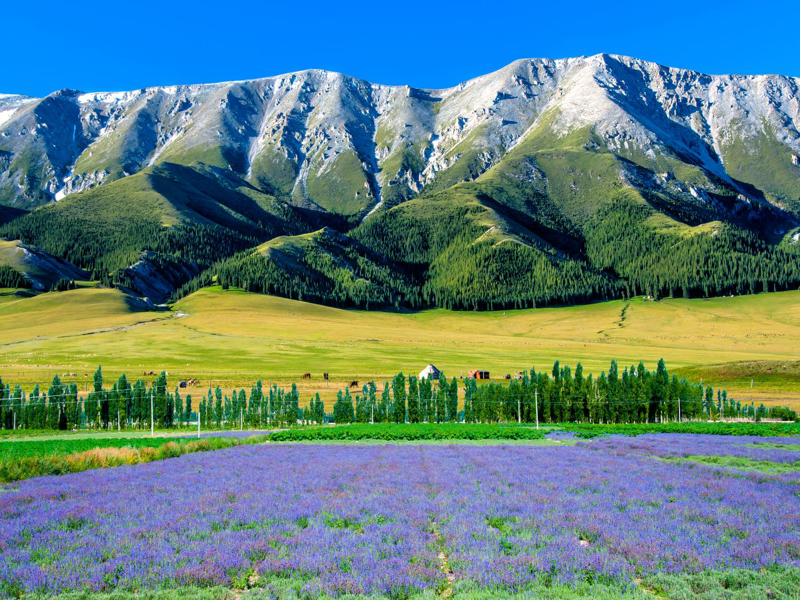 Kuytun – Urumqi