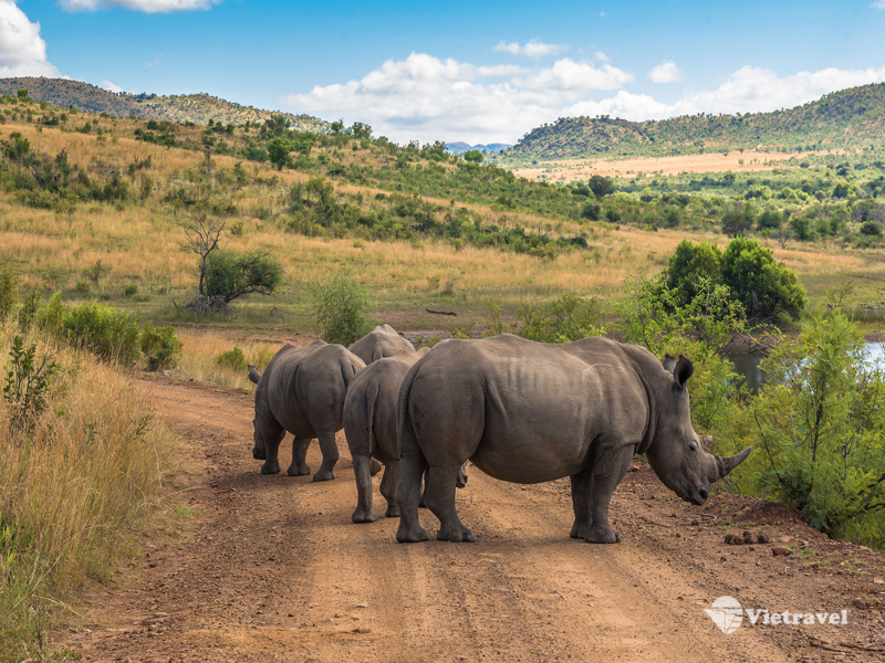 Johannesburg – Tp. Hồ Chí Minh                                                      