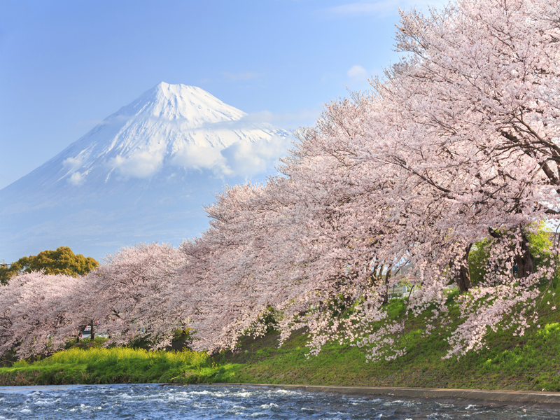 Núi Phú Sĩ – Nagoya                                                                                              