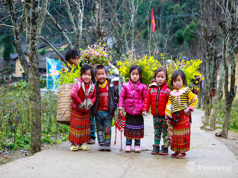 Tphcm - Sân Bay Nội Bài (Hà Nội) - Sapa 