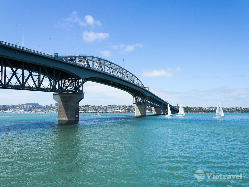 Sydney - Auckland                 