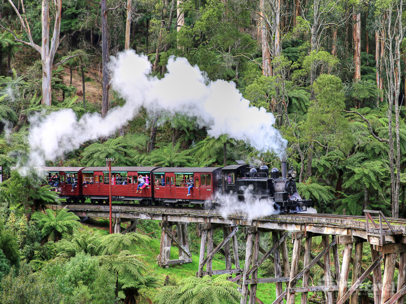 Melbourne - Dandenong – Thung Lũng Yarra