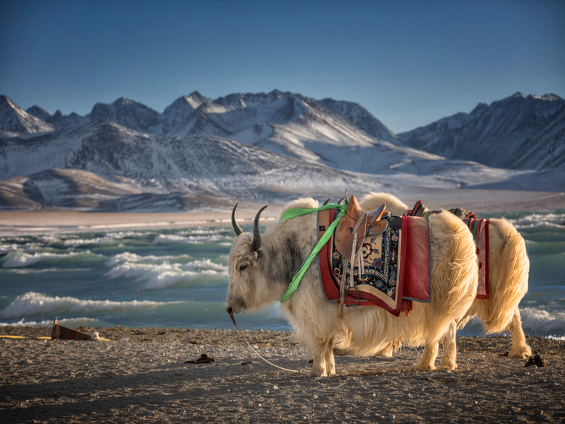 Shigatse - Lhasa 