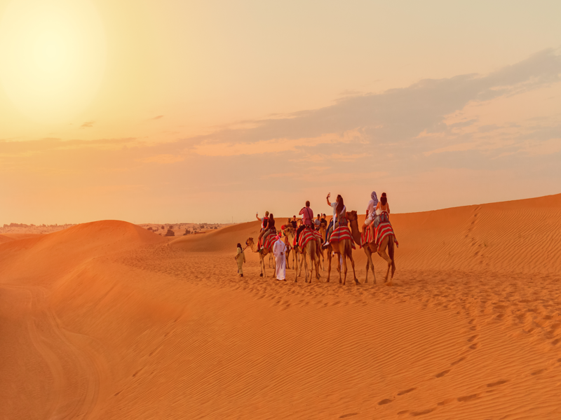 Tp. Đà Nẵng - Dubai 
