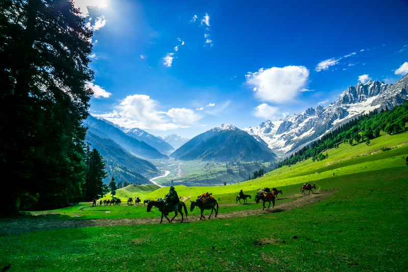 Srinagar – Pahalgam – Srinagar