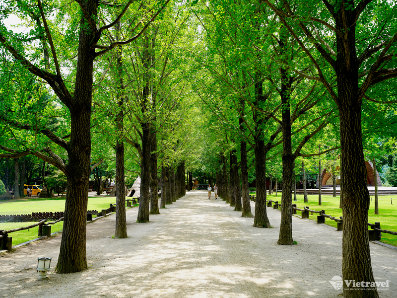 Jeju – Seoul  – Nami                                                     