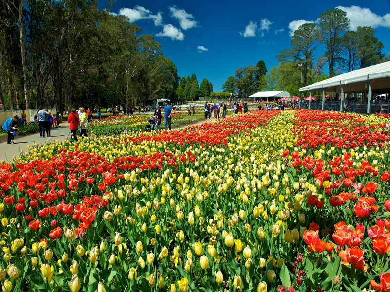 Sydney - Canberra - Sydney