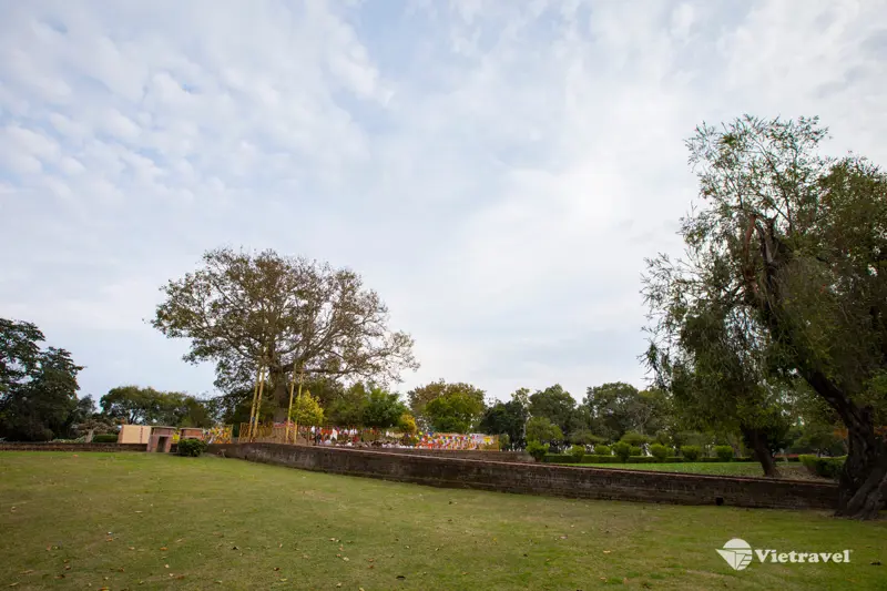 Delhi – Lucknow – Shravasti (Khoảng 160km)
