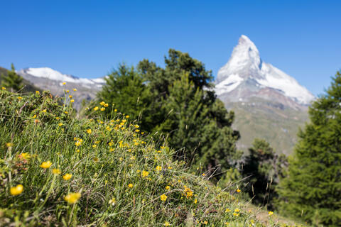 Milan – Zermatt – Lausanne                           