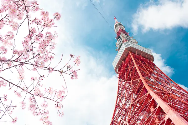 KAWAGUCHIKO – TOKYO                                                                        