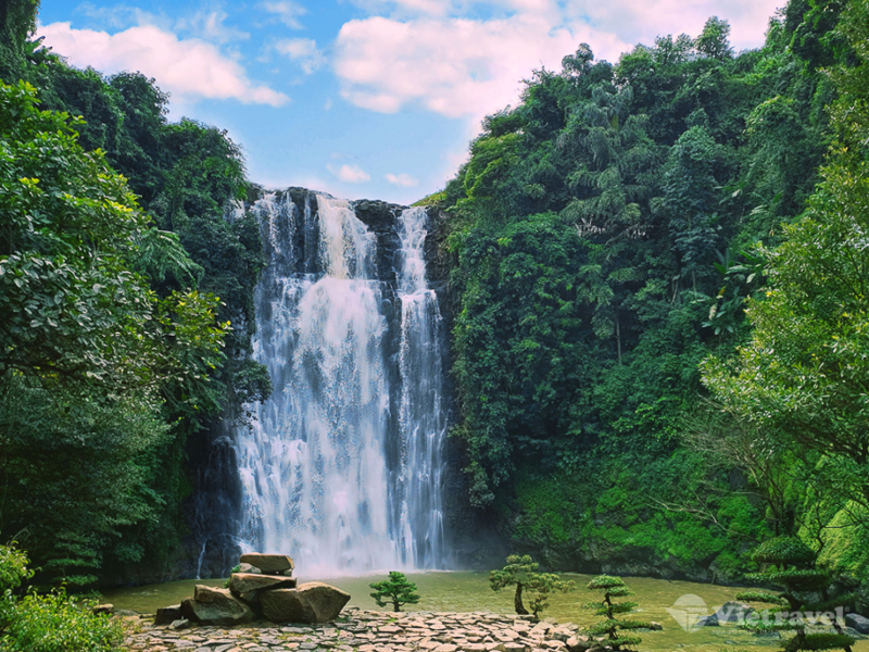 Đà Lạt - TP. Hồ Chí Minh                                                                       